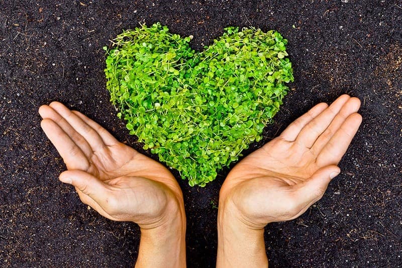 Contacts for less donates profits to help the planet