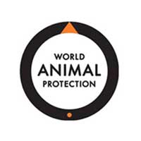 World Animal Protect 200x200 jpeg